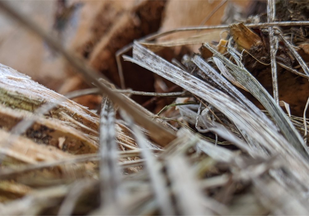 Strohhalme - Die Rettung